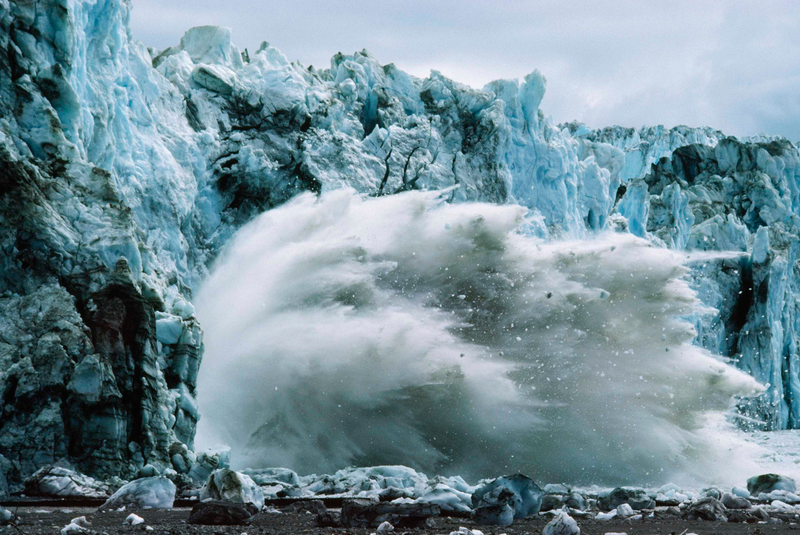 Illustration for article titled National Geographic Puts 125 of Its Most Iconic Photos Up For Sale